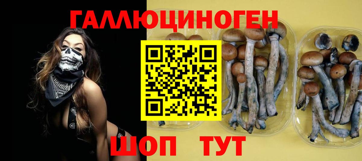 Галлюциногенные грибы MAGIC MUSHROOMS Лысьва